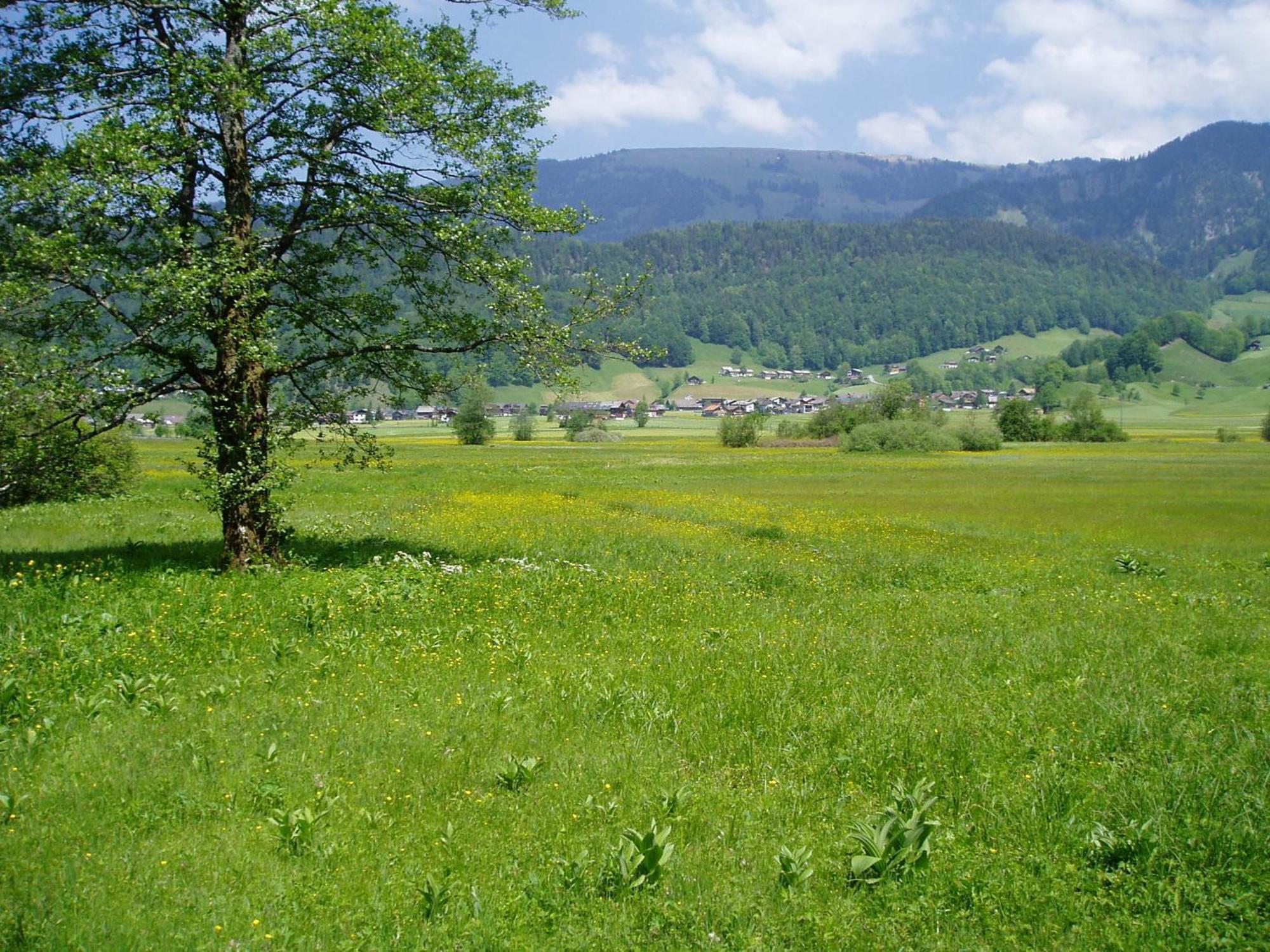 Gasthof Taube Bizau Buitenkant foto